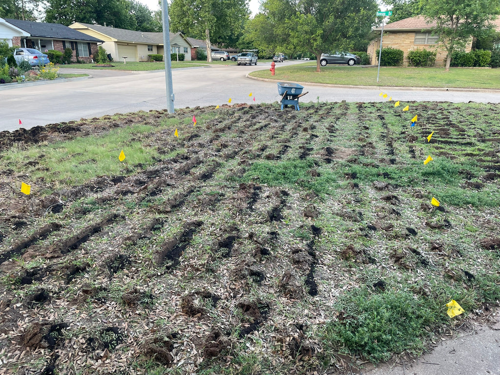 Soil Restoration Tool - SRT-1 with 8in Tine